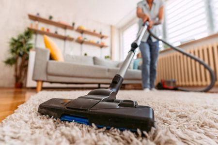 Picture for category Carpet Freshener