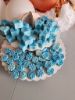 Picture of Bag of Individual Wax Melts