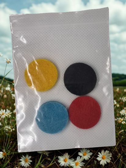 Picture of Pack Of 4  Mini Hoover Discs